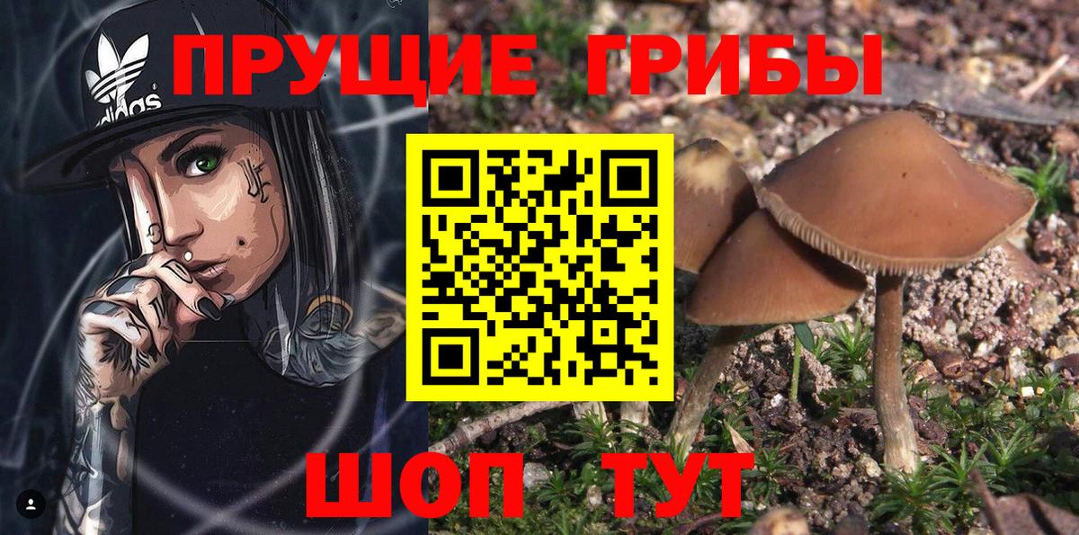 Псилоцибиновые грибы мухоморы  Вход с VPN  где купить наркоту  Заволжье 