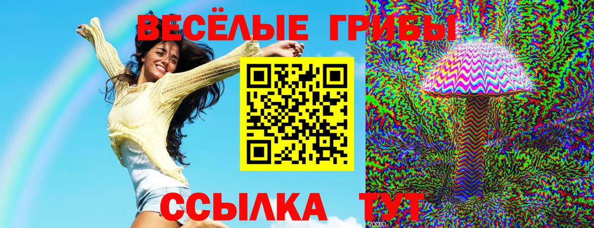 Псилоцибиновые грибы Psilocybine cubensis Заволжье